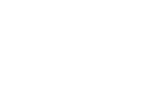 Guerrilla